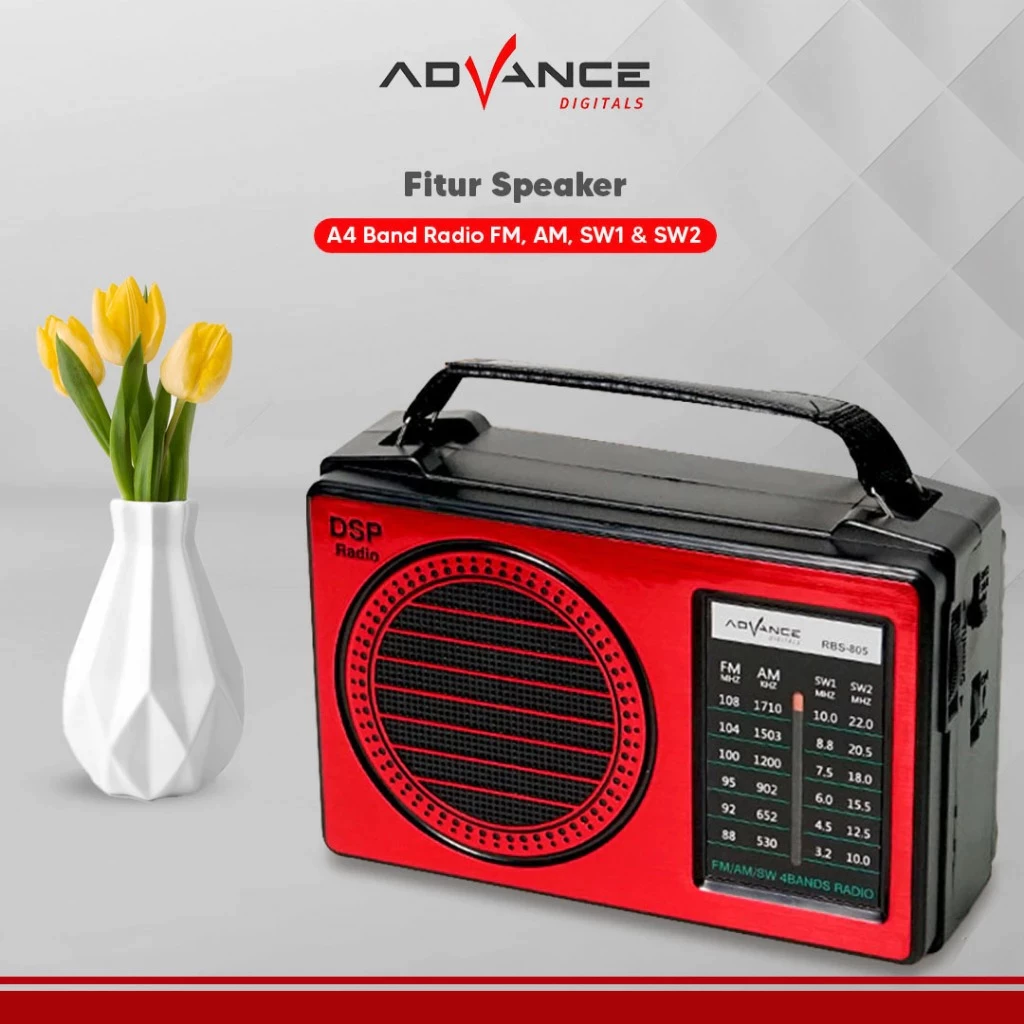 SPEAKER ADVANCE RBS-805 - Image 3